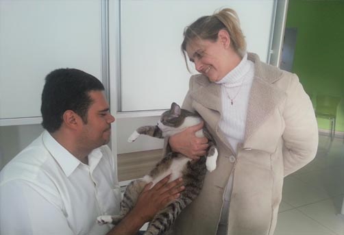 Clínica Gato Leão Dourado - Paixão por gatos você entende!